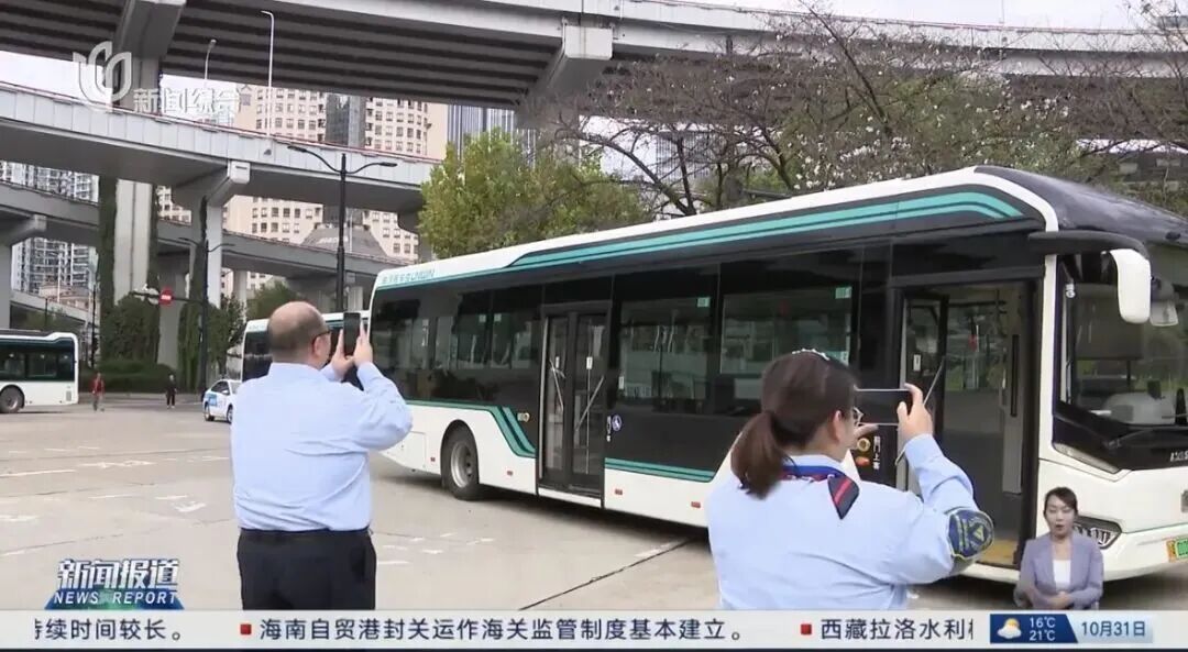 迟到的桂花格外香？三大品种罕见集中绽放！樱花也来凑热闹，上海市民直呼惊奇