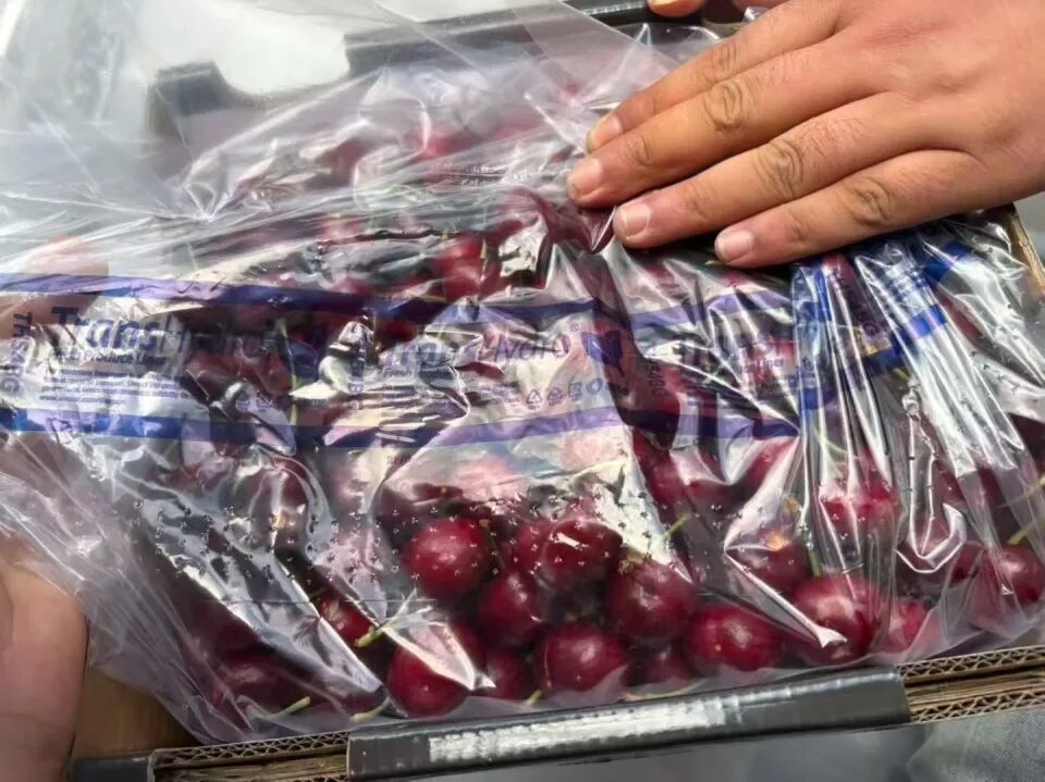 价格暴跌！商家：预计还要降