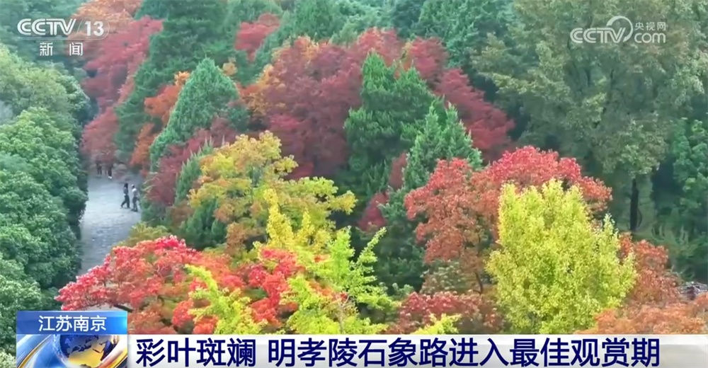 特色“赏秋游”澎湃“秋日经济”新动能 “文旅+”成为激发消费新引擎 特色“赏秋游”澎湃“秋日经济”新动能 “文旅+”成为激发消费新引擎