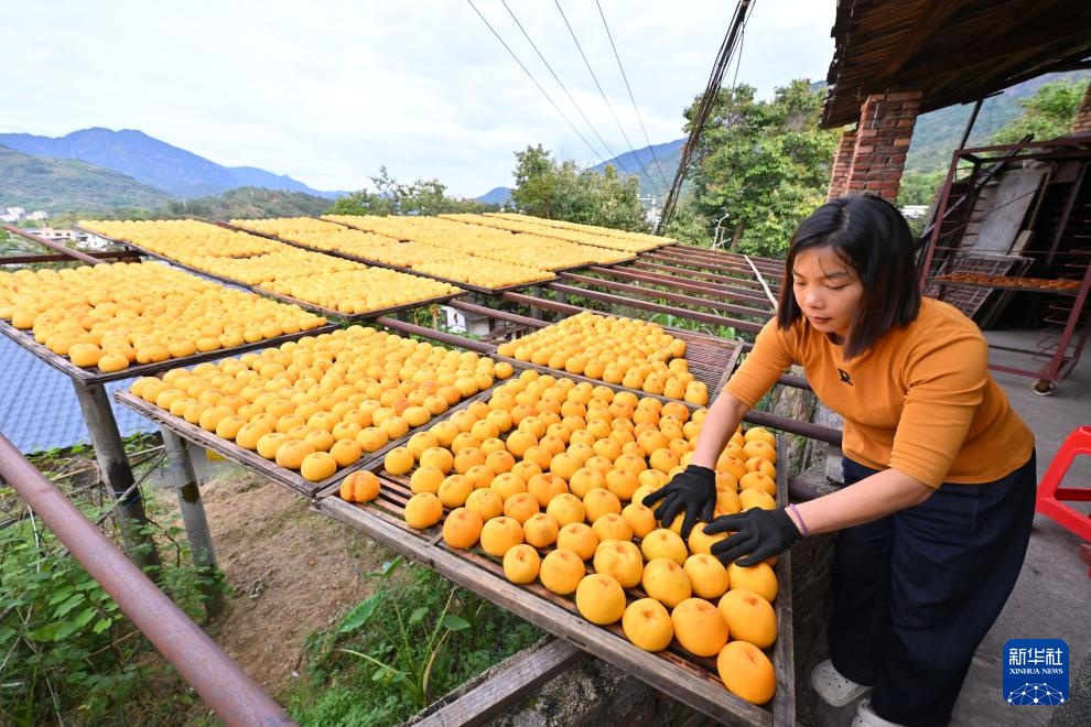 福建永泰:金秋送爽晒好“柿” 福建永泰:金秋送爽晒好“柿”