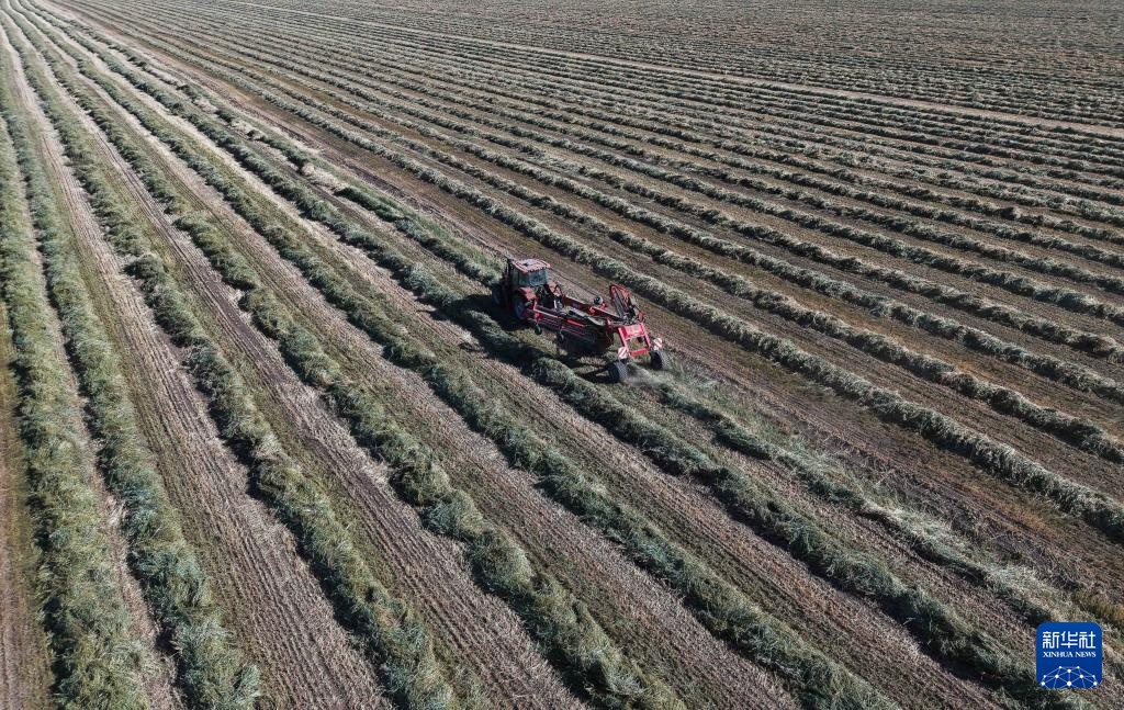 秋日“丰”景好