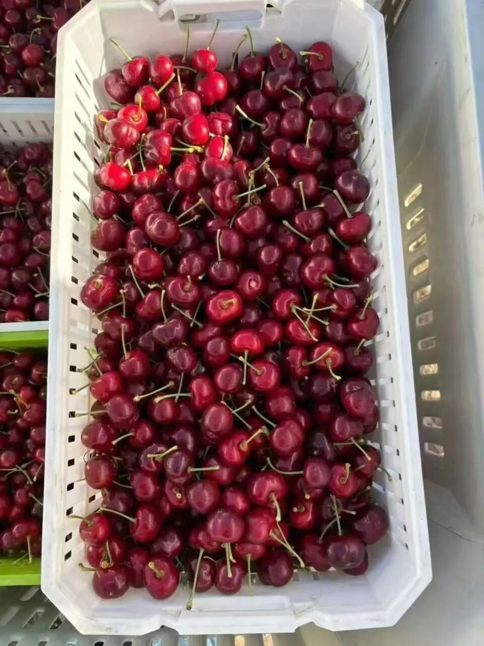 价格暴跌！商家：预计还要降