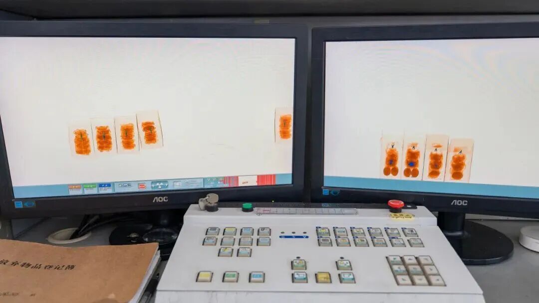 高铁站安检仪扫出好多毛茸茸的物体……