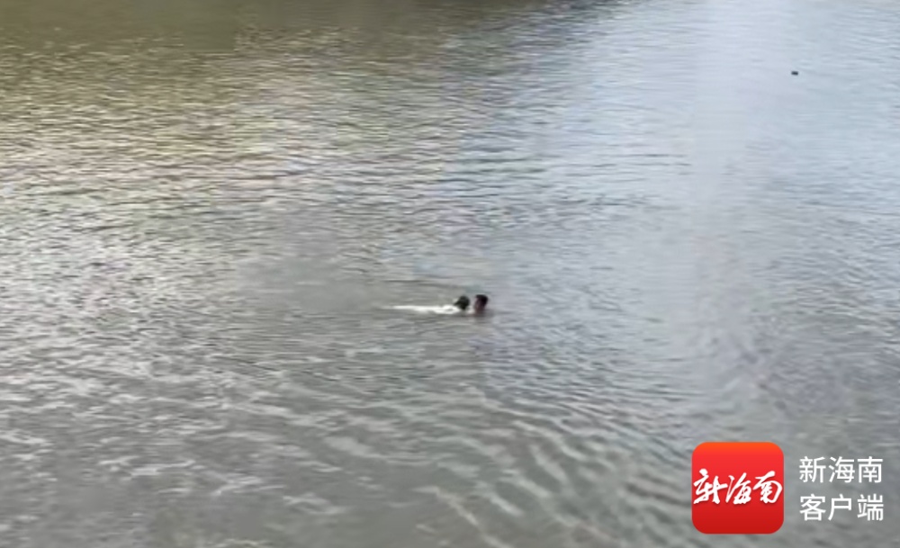 他救人后只留下一句“帮忙报警”,默默离开现场…… 他救人后只留下一句“帮忙报警”,默默离开现场……