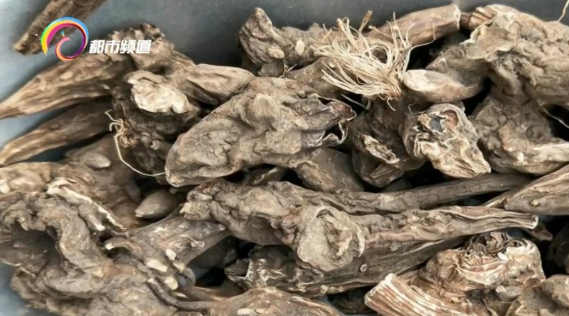 3毫克可致命!“土黄天”进补需注意,这些东西不要吃…… 3毫克可致命!“土黄天”进补需注意,这些东西不要吃……