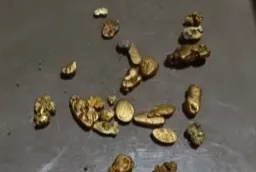 “一盆就出了5克多”!一河道多人凌晨冒严寒淘金,当地紧急回应 “一盆就出了5克多”!一河道多人凌晨冒严寒淘金,当地紧急回应