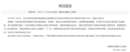 广东清远通报水库旁疑多人放生猫只 广东清远通报水库旁疑多人放生猫只