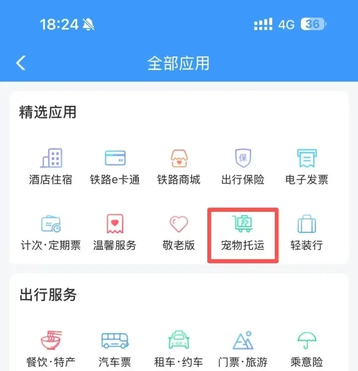 12306购票页面出现“宠”字，怎么回事？