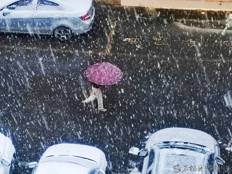 乌鲁木齐、昌吉州将迎大暴雪! 乌鲁木齐、昌吉州将迎大暴雪!