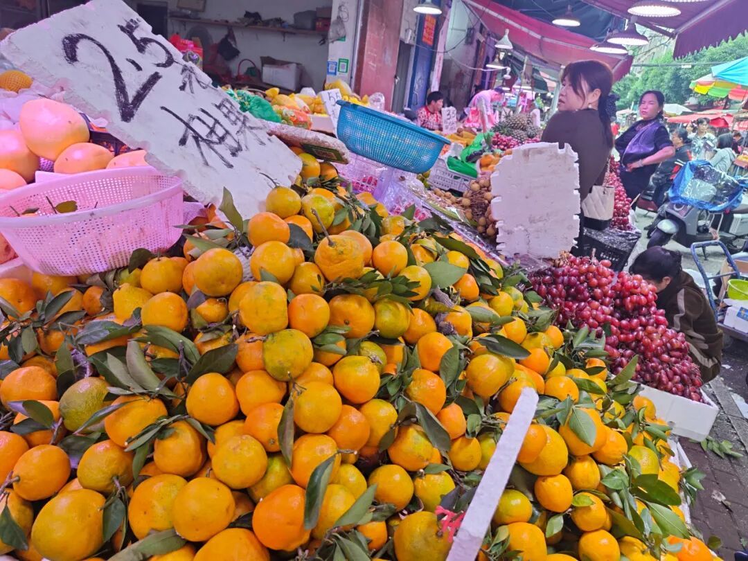 这些“秋日限定”甜蜜上市!南宁市场价格亲民 这些“秋日限定”甜蜜上市!南宁市场价格亲民