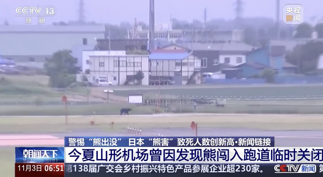 死亡人数创新高!总领馆提醒:日本旅游注意防熊 死亡人数创新高!总领馆提醒:日本旅游注意防熊