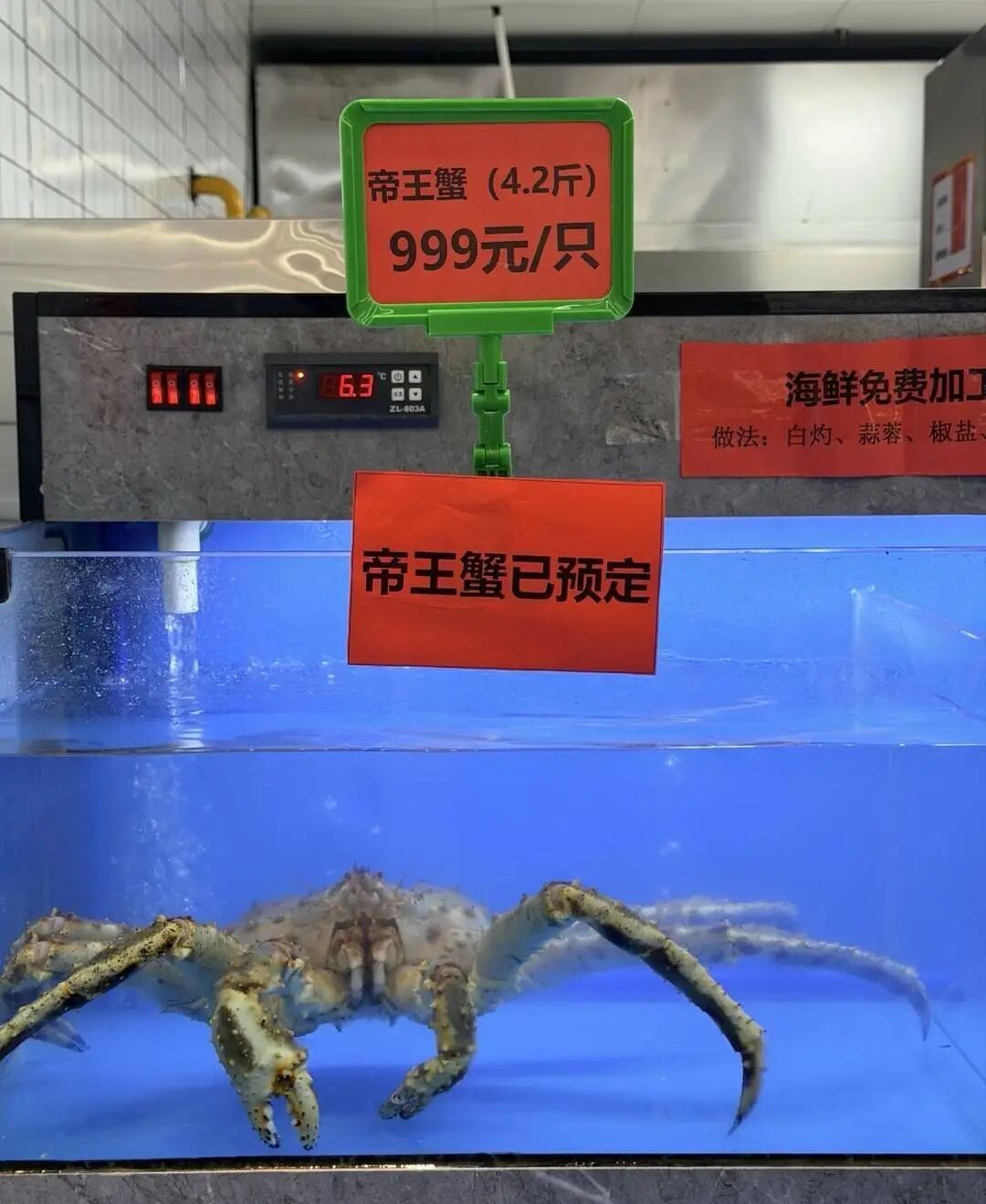 一高校食堂推出帝王蟹等海鲜,标价999元一只 一高校食堂推出帝王蟹等海鲜,标价999元一只