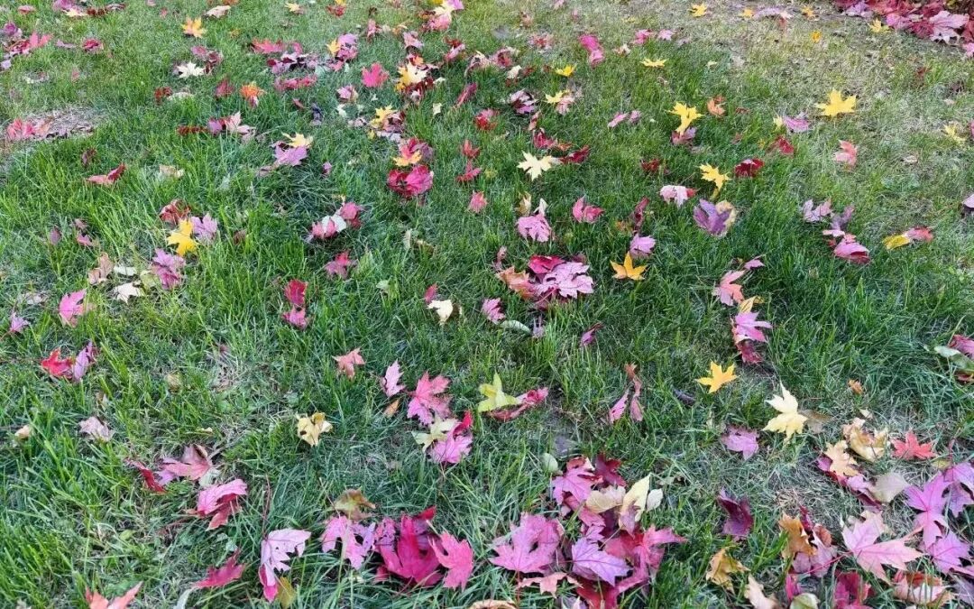 20℃“高温”就要出现?!穿点啥?辽宁本周天气还有大反转! 20℃“高温”就要出现?!穿点啥?辽宁本周天气还有大反转!