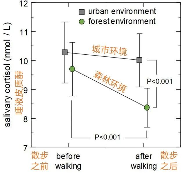 为什么秋天的公园是“天然疗愈馆”？3个治愈功效，多数人不知道