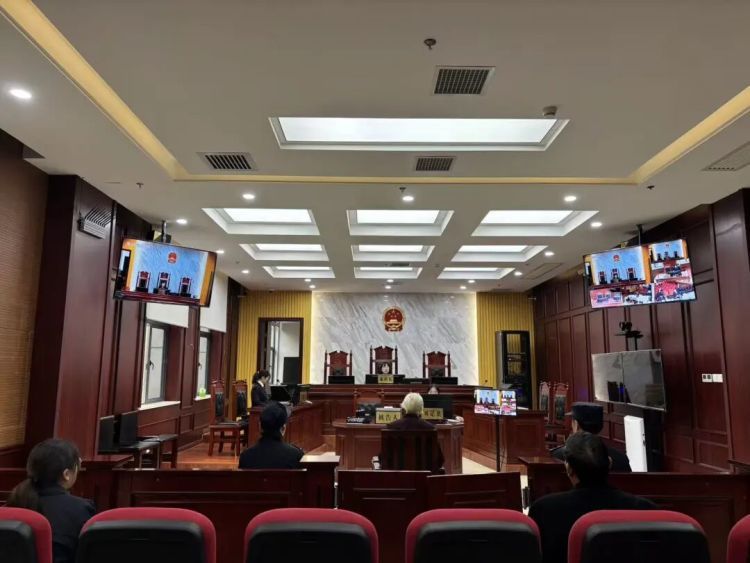 屡教不改终获刑！记住，这种“菜”种一株也违法