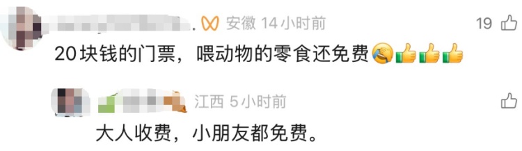 藏在深山!“史上最寒酸”动物园突然走红,园长:不用再捐啦 藏在深山!“史上最寒酸”动物园突然走红,园长:不用再捐啦