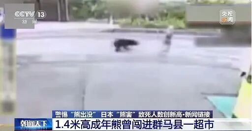 日本“熊害”致死亡人数创新高！总领馆提醒：日本旅游警惕“熊出没”