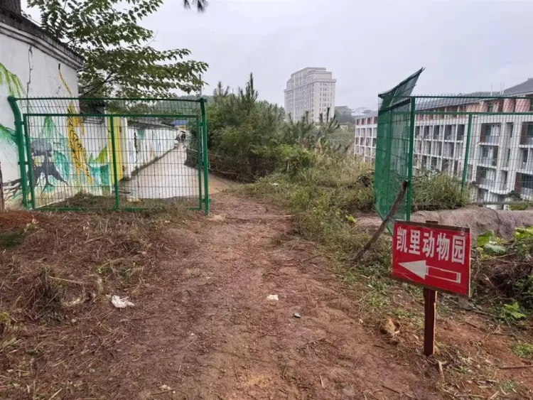 藏在深山!“史上最寒酸”动物园突然走红,园长:不用再捐啦 藏在深山!“史上最寒酸”动物园突然走红,园长:不用再捐啦