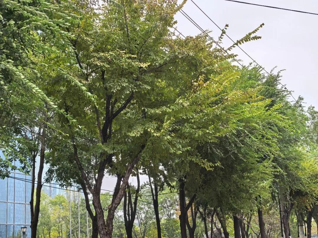 20℃“高温”就要出现?!穿点啥?辽宁本周天气还有大反转! 20℃“高温”就要出现?!穿点啥?辽宁本周天气还有大反转!