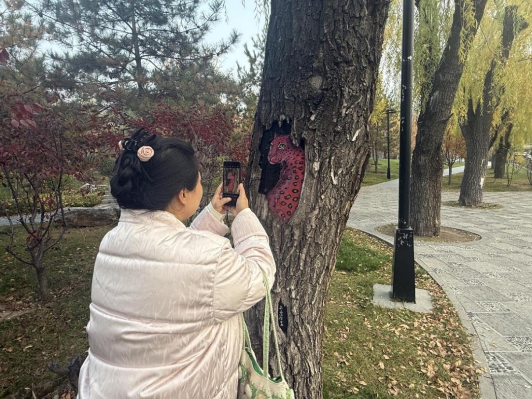 “妈妈，树洞里住着精灵！”