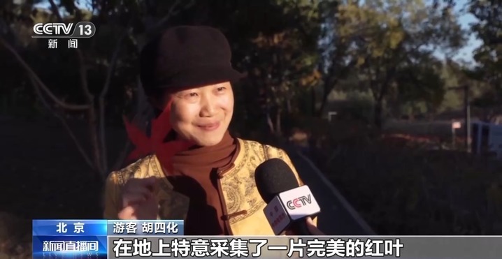 赏秋时节 “捡秋”有度才能留住秋日好时光