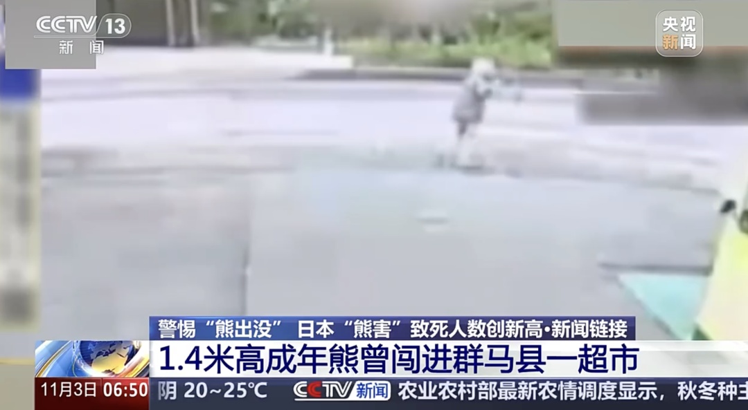 死亡人数创新高!总领馆提醒:日本旅游注意防熊 死亡人数创新高!总领馆提醒:日本旅游注意防熊