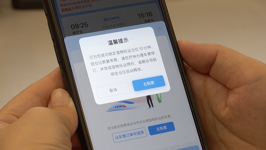 12306购票页面上多了个“宠”字，到底是哪种“宠”？