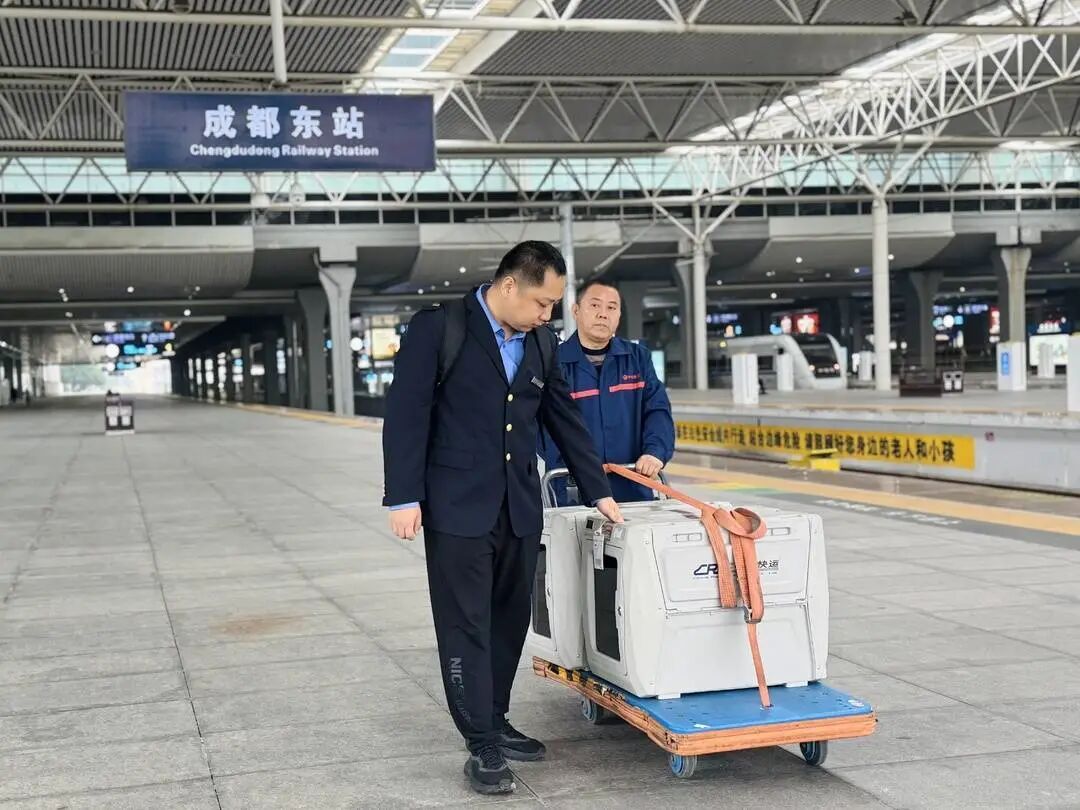 宠物 "单飞" 成真！高铁宠物托运服务增至40座车站、50趟列车