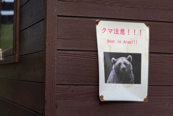 日本各地频发熊袭人事件，死亡人数创新高，驻大阪总领馆提醒
