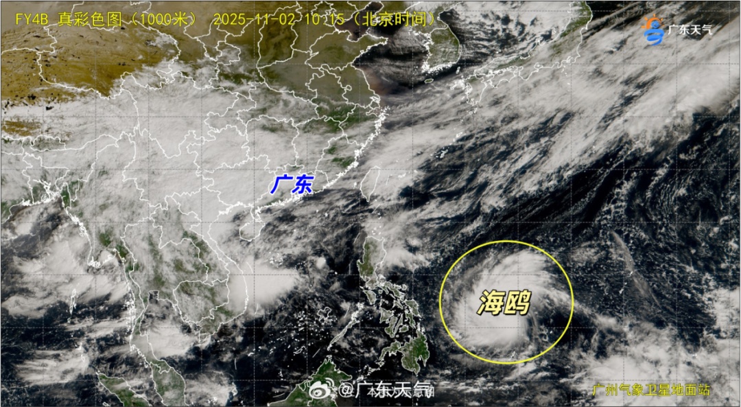 最强15级！新台风“海鸥”来了！东莞最低气温“1字头”！