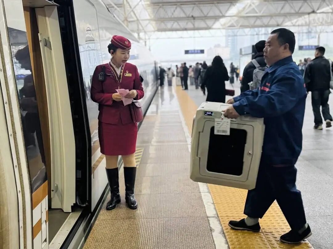 宠物 "单飞" 成真！高铁宠物托运服务增至40座车站、50趟列车