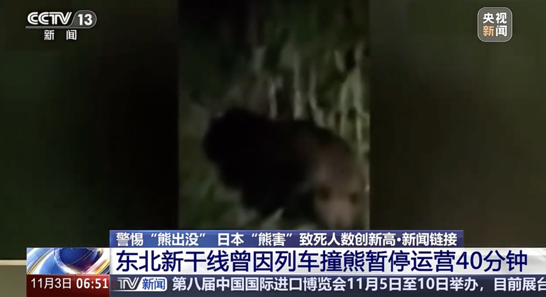 死亡人数创新高!总领馆提醒:日本旅游注意防熊 死亡人数创新高!总领馆提醒:日本旅游注意防熊