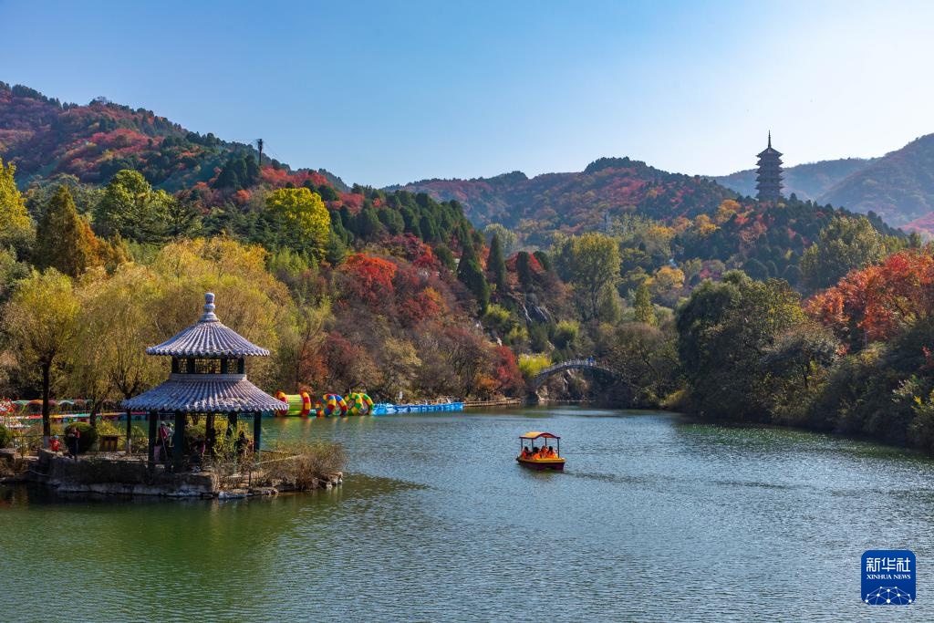 诗意中国丨碧涧流红叶 青林点白云