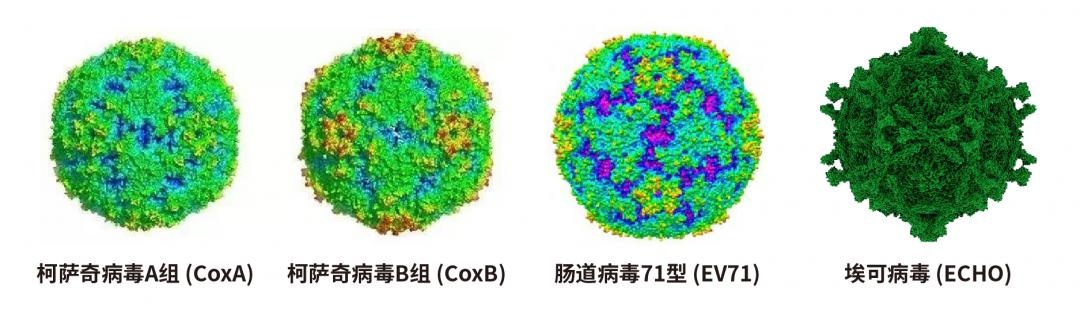 多人确诊，传染性极强！90%“遭殃”的都是孩子！