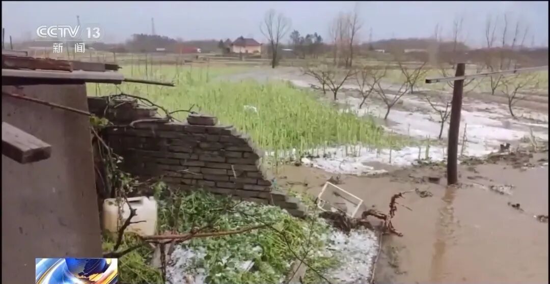 7级大风刮倒围挡砸坏车辆，责任谁来担？