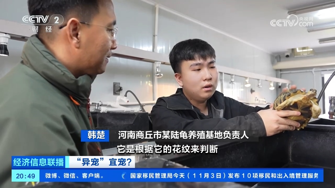 “异宠热”兴起，市场规模近百亿元！记者探访宠物市场→