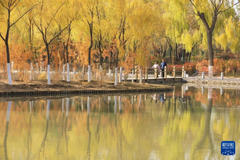 诗意中国丨碧涧流红叶 青林点白云