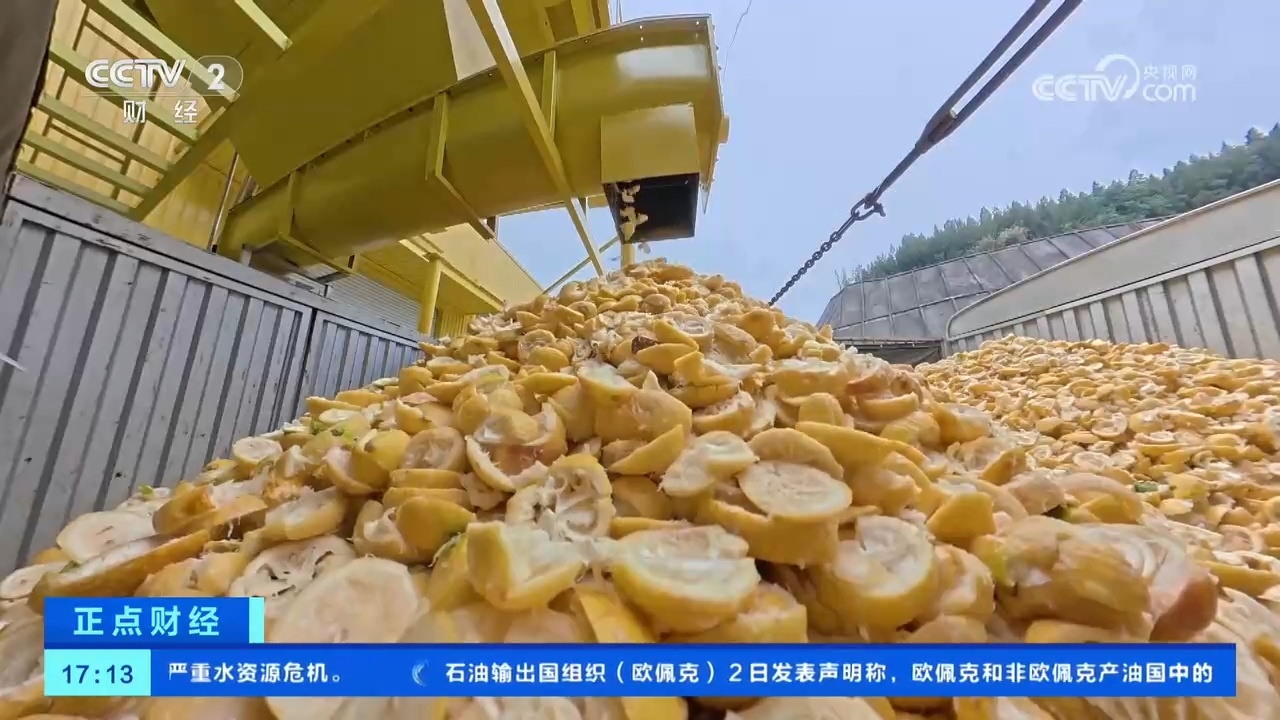 从“论斤卖”到“论克卖” 一颗柠檬身价倍增! 从“论斤卖”到“论克卖” 一颗柠檬身价倍增!