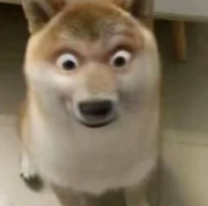 当妈妈做菜时灵机一动……网友：“突然觉得我妈的火龙果包子没那么恐怖了”