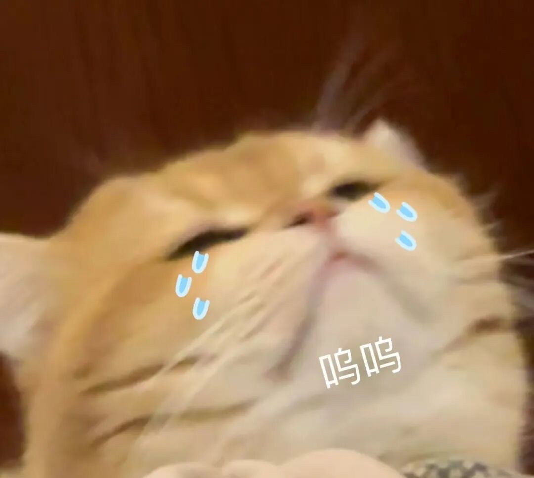 当妈妈做菜时灵机一动……网友：“突然觉得我妈的火龙果包子没那么恐怖了”