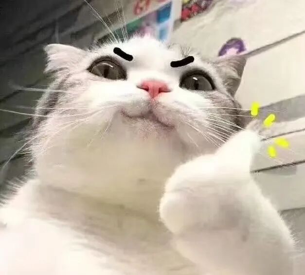 当妈妈做菜时灵机一动……网友：“突然觉得我妈的火龙果包子没那么恐怖了”