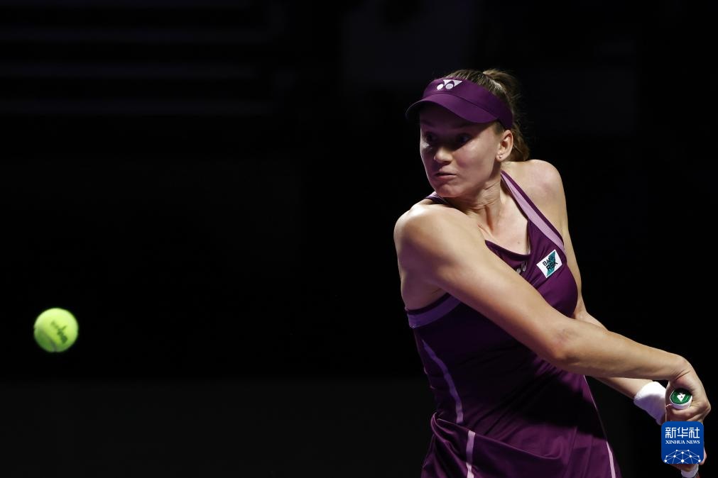 WTA年终总决赛:莱巴金娜胜斯维亚特克 WTA年终总决赛:莱巴金娜胜斯维亚特克