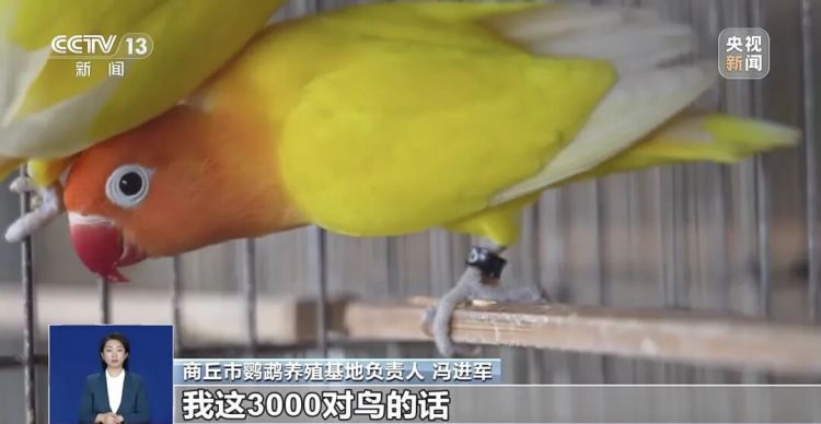 “异宠”不能随意宠!“神奇动物”暗藏哪些风险? “异宠”不能随意宠!“神奇动物”暗藏哪些风险?