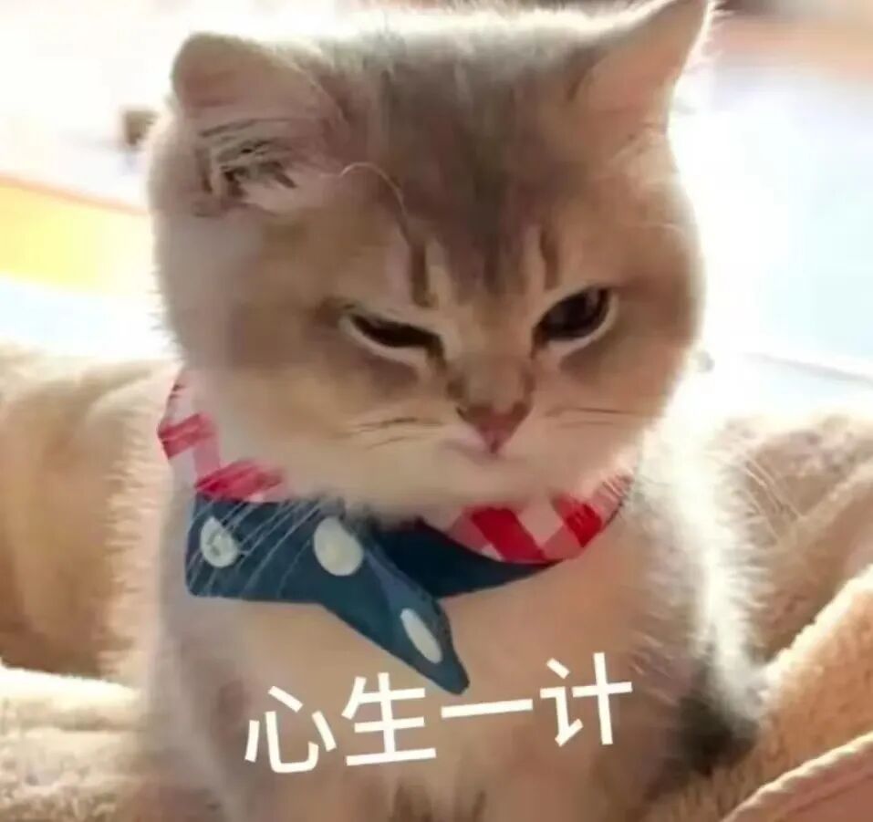 当妈妈做菜时灵机一动……网友：“突然觉得我妈的火龙果包子没那么恐怖了”