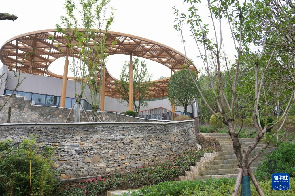 熊猫搬新“家” 我国再添一座大熊猫基地 熊猫搬新“家” 我国再添一座大熊猫基地