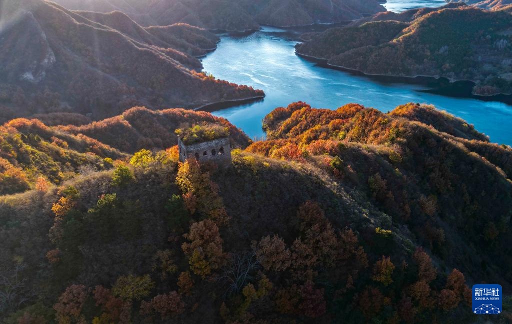 诗意中国丨碧涧流红叶 青林点白云