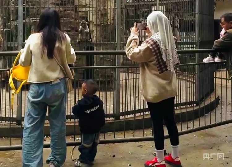 “没想到一守就是十年”！贵州深山里的动物园凭良心圈粉