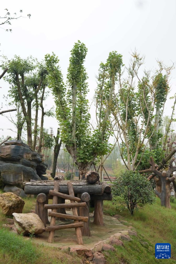 熊猫搬新“家” 我国再添一座大熊猫基地 熊猫搬新“家” 我国再添一座大熊猫基地