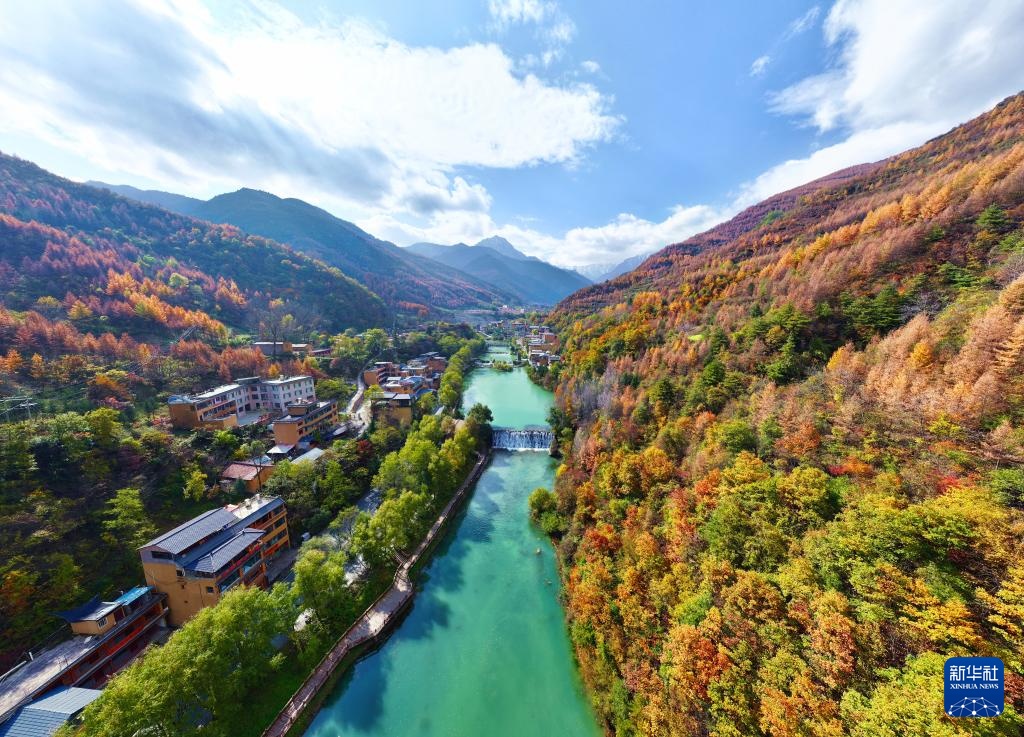 诗意中国丨碧涧流红叶 青林点白云