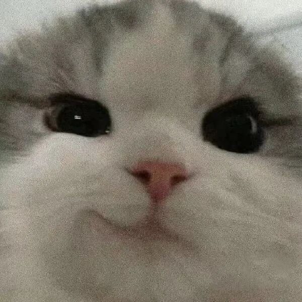 当妈妈做菜时灵机一动……网友：“突然觉得我妈的火龙果包子没那么恐怖了”